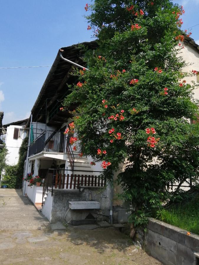 Peter Ranch 1 Apartment Vico Canavese Екстериор снимка